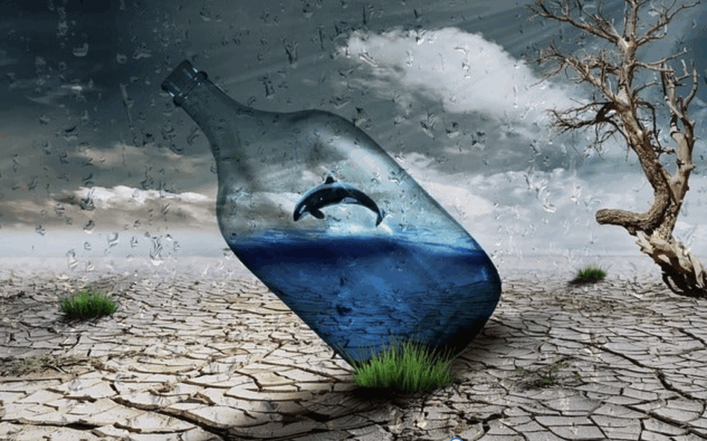 月の周波数　月の扉について